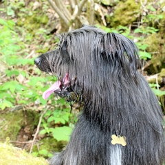 Im Mai im Allgäu (6)